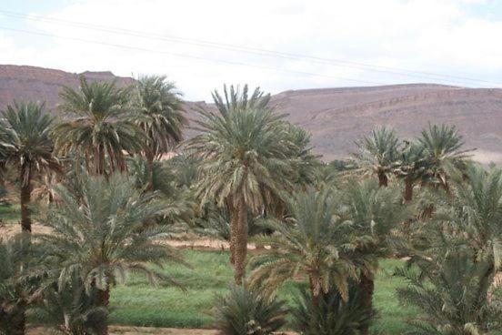 Maggaman Guest House Tafraoute Sidi Ali Buitenkant foto